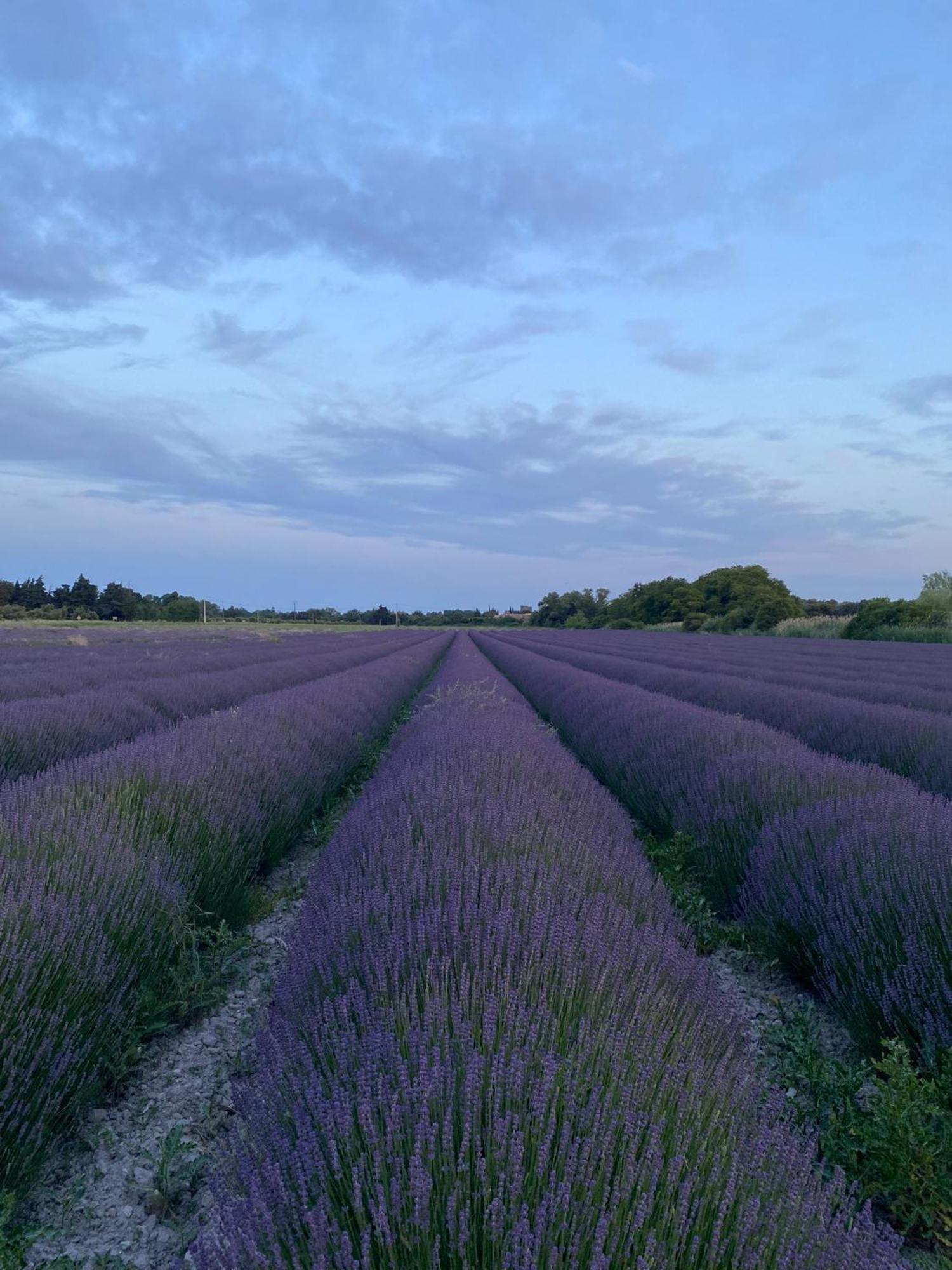 Le Moulin De Montsegur B&B 외부 사진